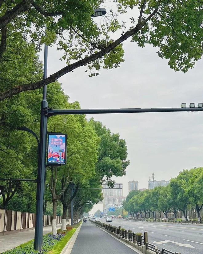 23个智慧路灯灯杆落地案例汇总!米乐体育app网站案例赏析 近期(图3)