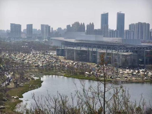 人想出了对策！公园草坪已鲜见天幕但争议仍存在世博文化公园禁用风绳和地钉后有人选择离开有(图7)
