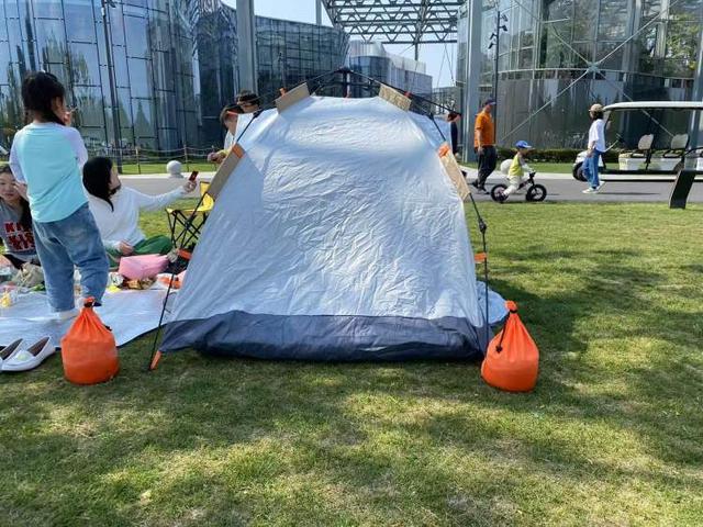 人想出了对策！公园草坪已鲜见天幕但争议仍存在世博文化公园禁用风绳和地钉后有人选择离开有(图6)