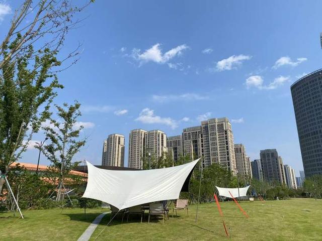 人想出了对策！公园草坪已鲜见天幕但争议仍存在世博文化公园禁用风绳和地钉后有人选择离开有(图2)