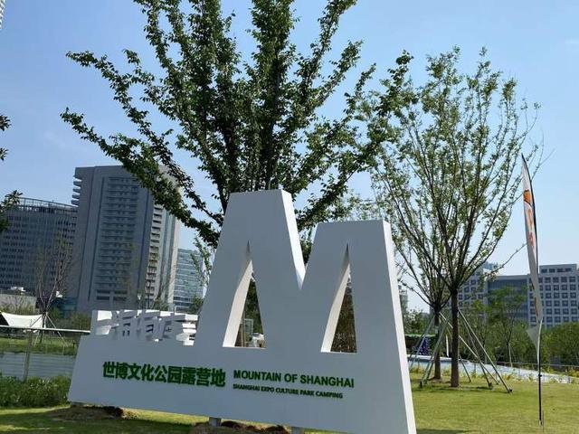 人想出了对策！公园草坪已鲜见天幕但争议仍存在世博文化公园禁用风绳和地钉后有人选择离开有(图4)